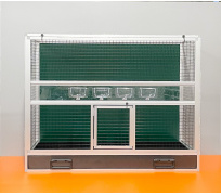 BK32 zelená, černé pletivo