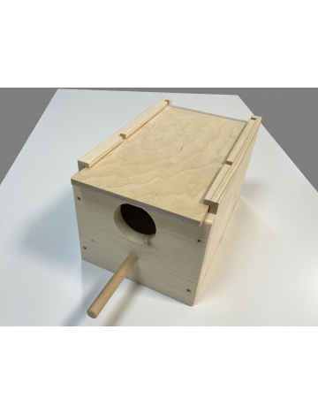 Budka Agapornis - Papač