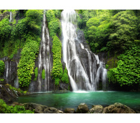 Tapeta do voliéry 05