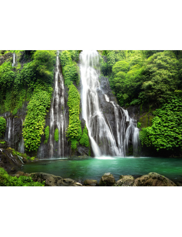 Tapeta do voliéry 05