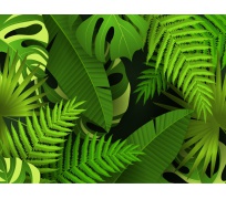 Tapeta do voliéry 03