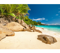 Tapeta do voliéry 02