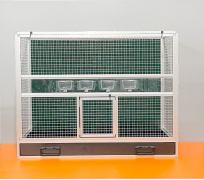 BK30 zelená, stříbrné pletivo